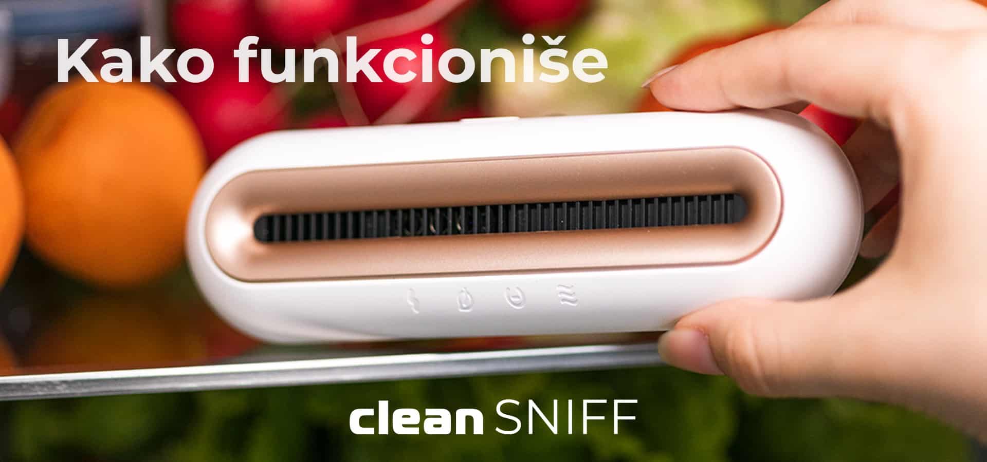 clean-sniff-landscape-2