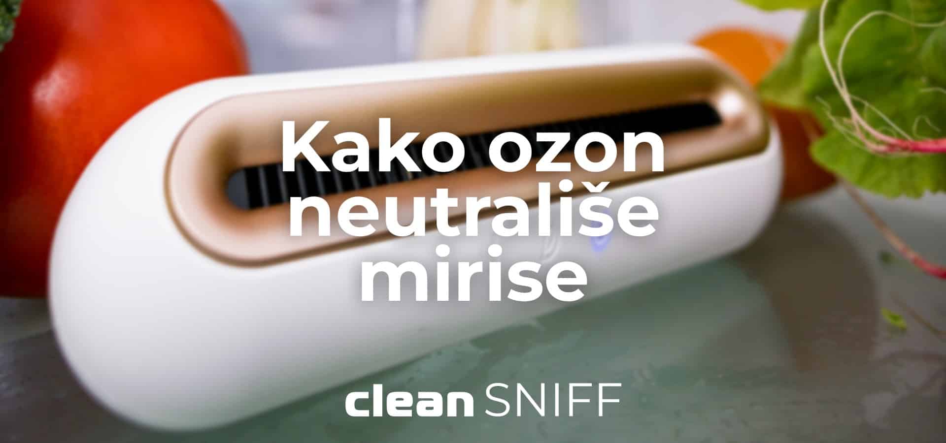 clean-sniff-landscape-3